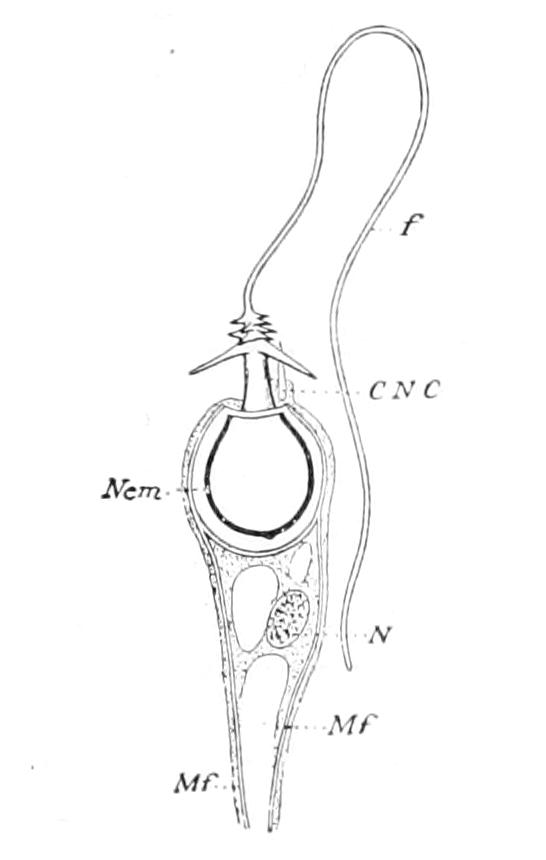 fig124