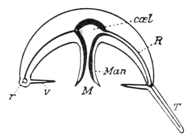 fig126