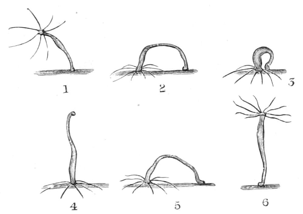 fig127