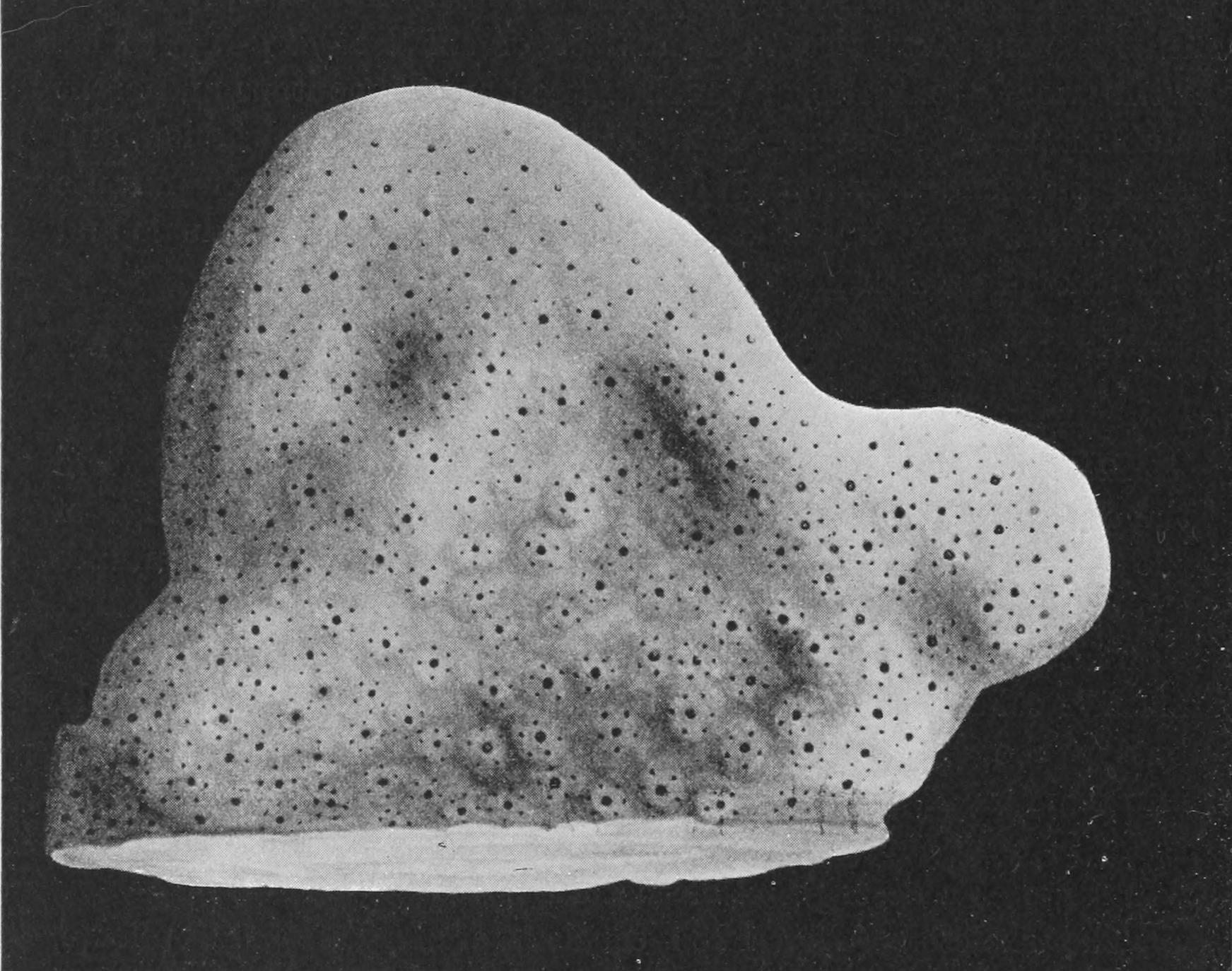 fig128