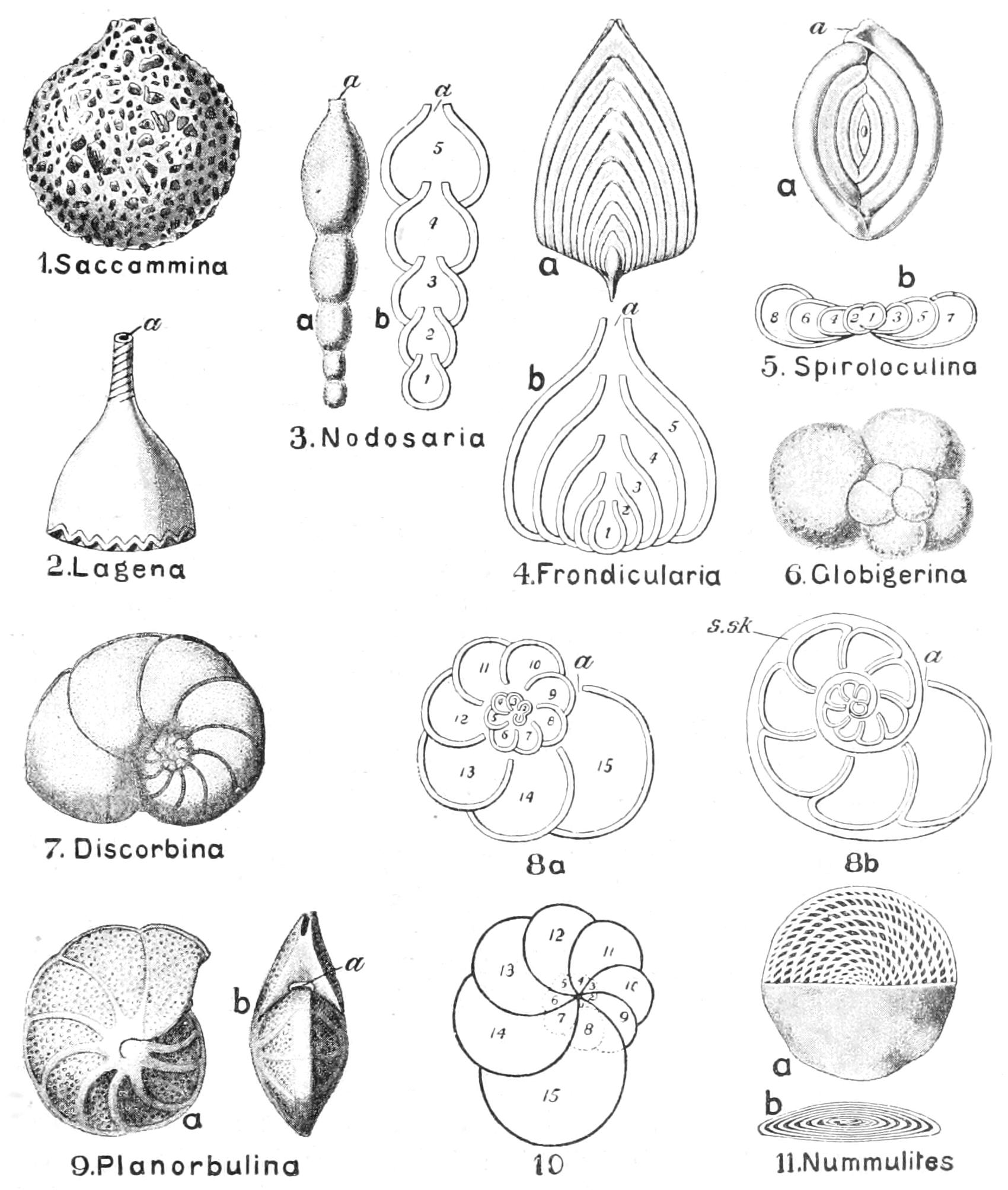 fig13
