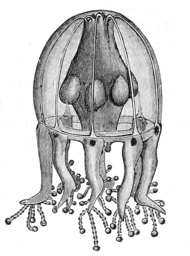 fig131