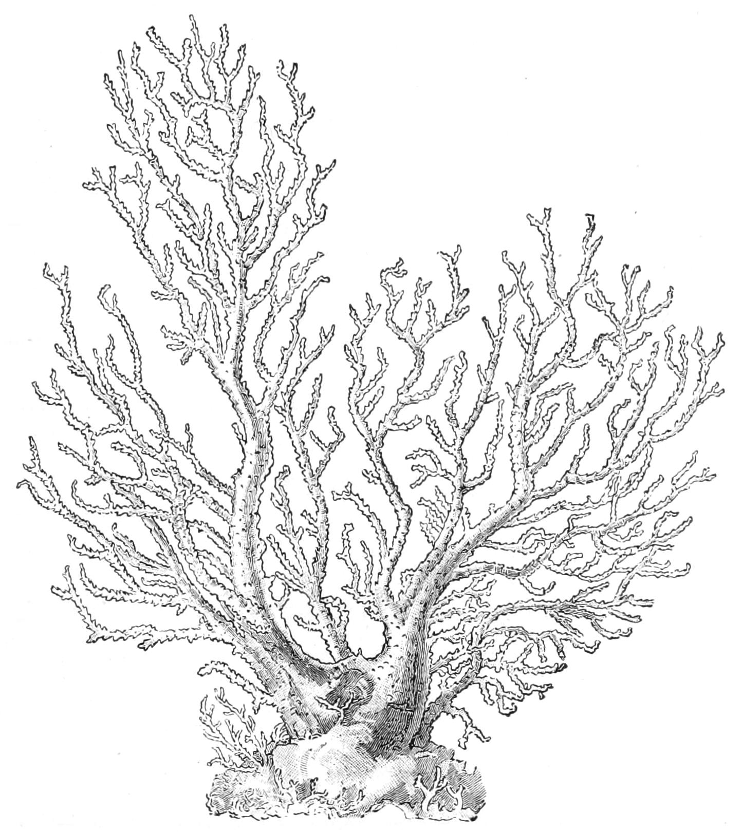 fig133