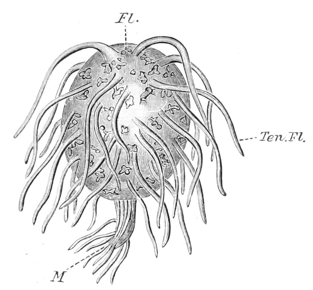 fig134
