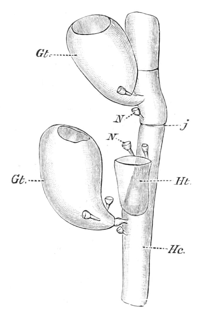 fig135