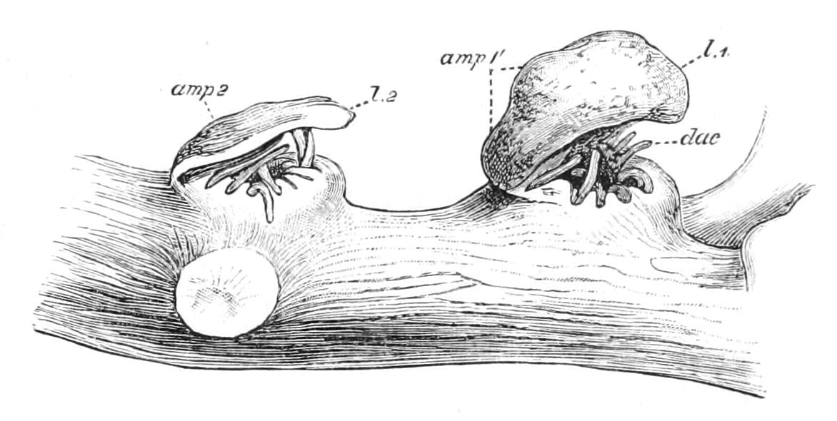 fig136