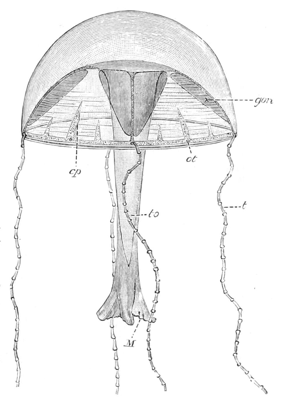 fig137