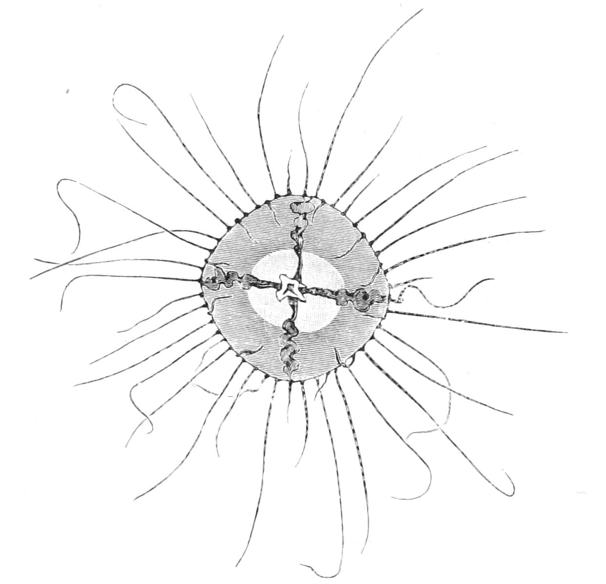 fig139