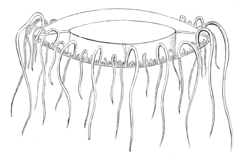fig140
