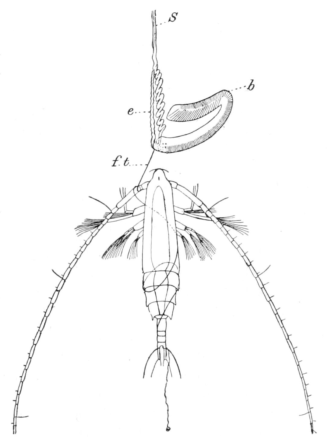 fig141