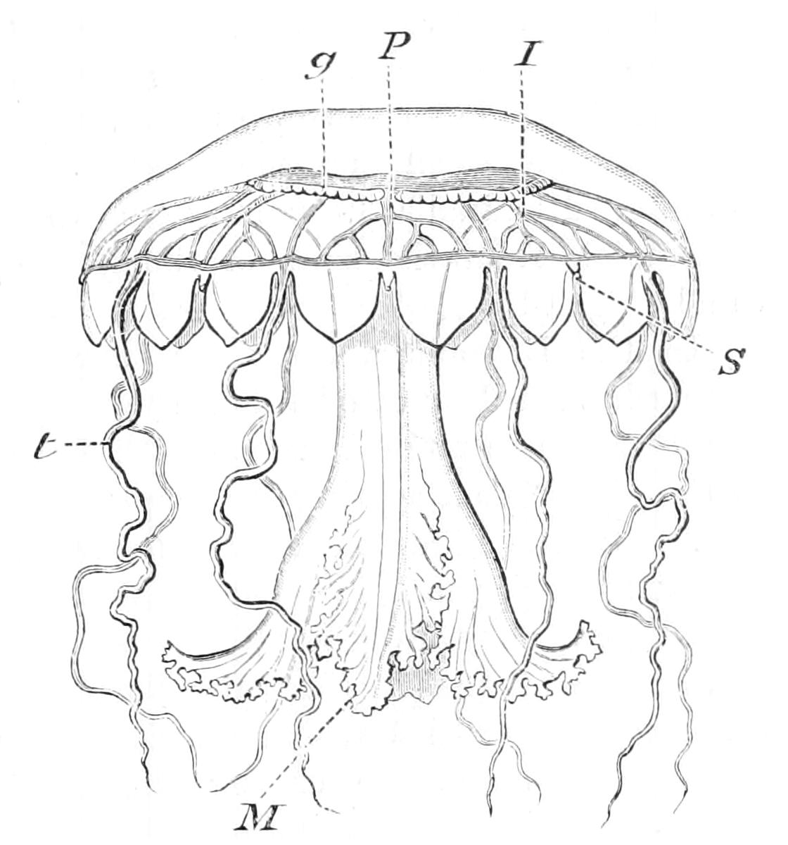 fig143