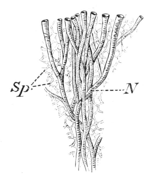 fig144