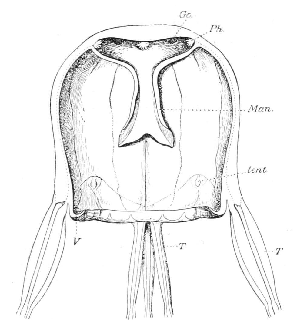 fig145