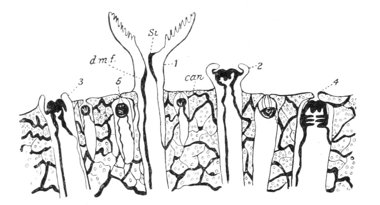 fig147