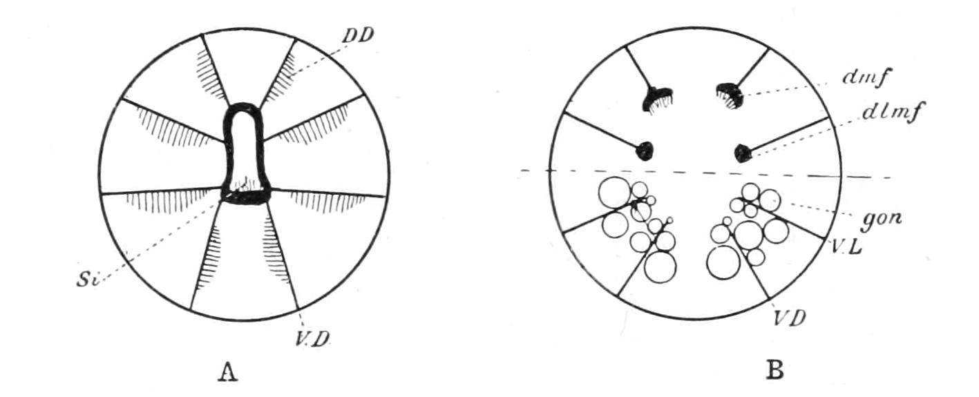 fig148