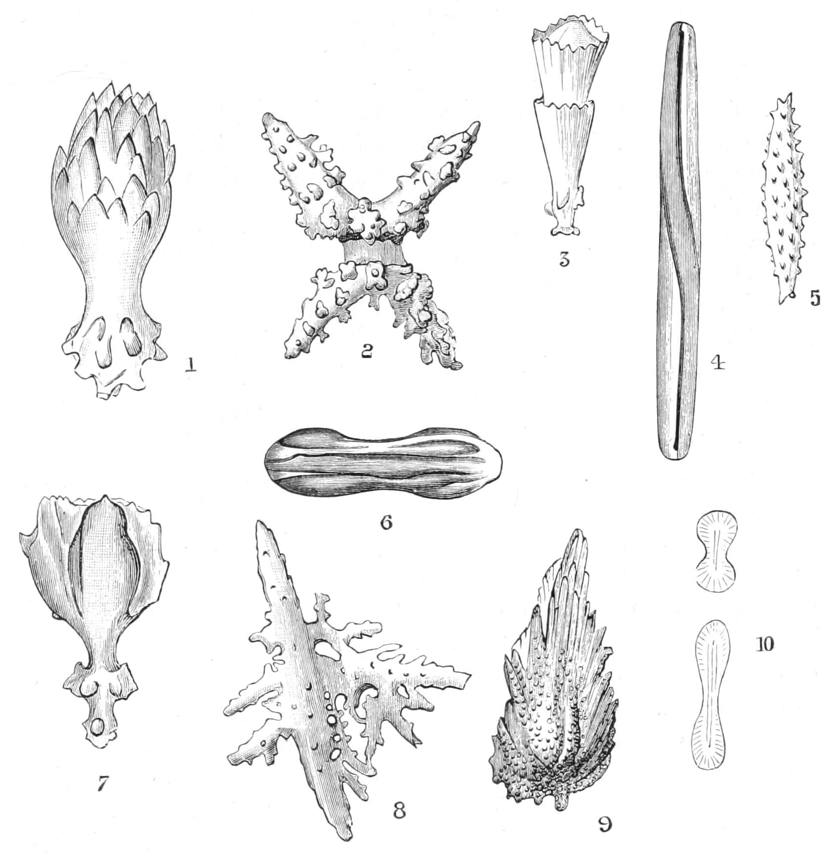 fig149