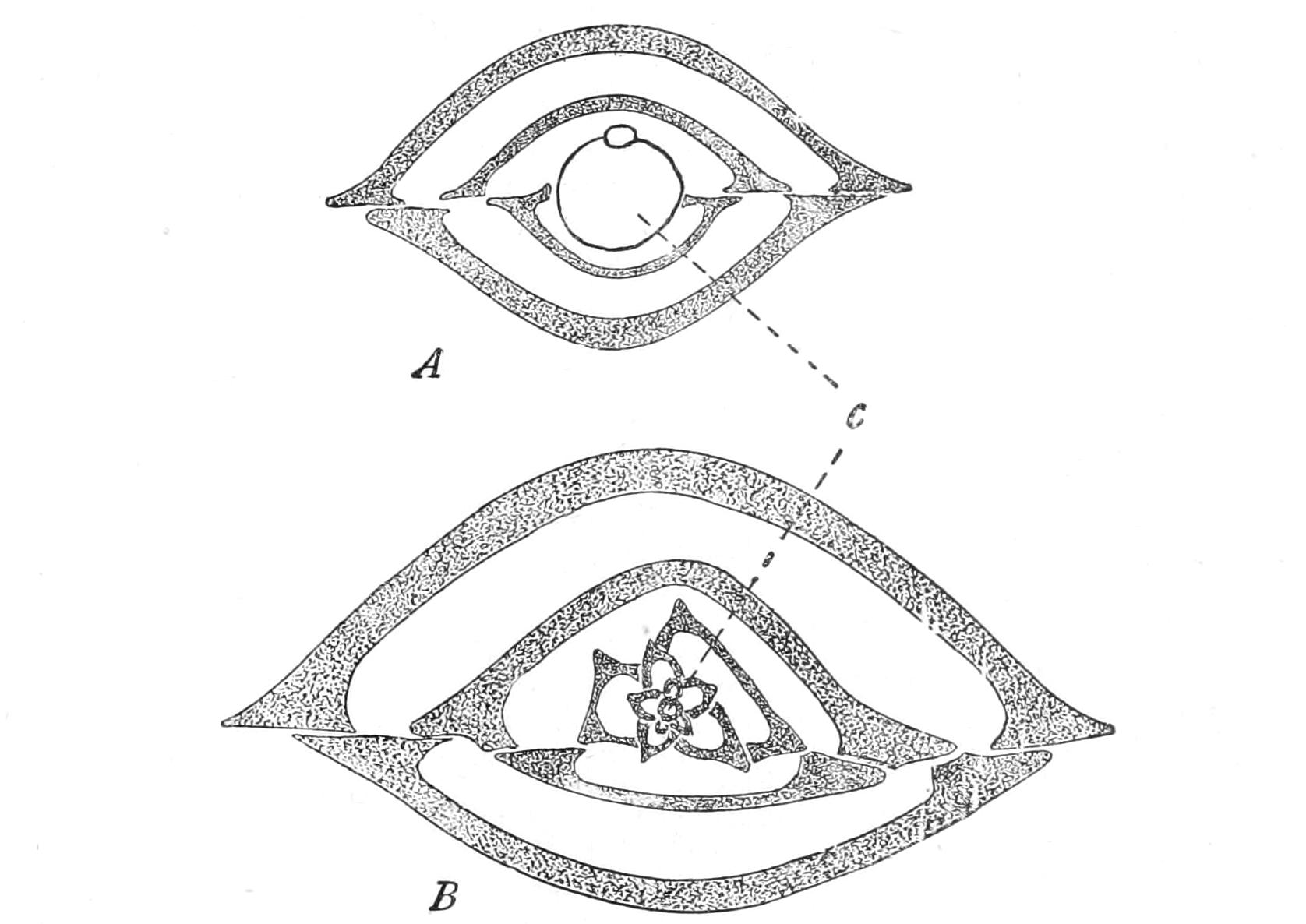 fig15