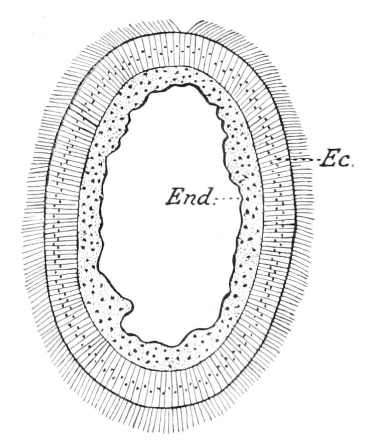 fig150