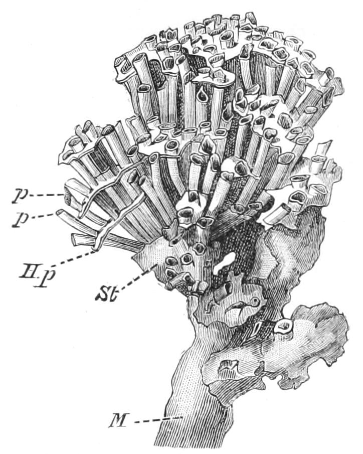 fig151