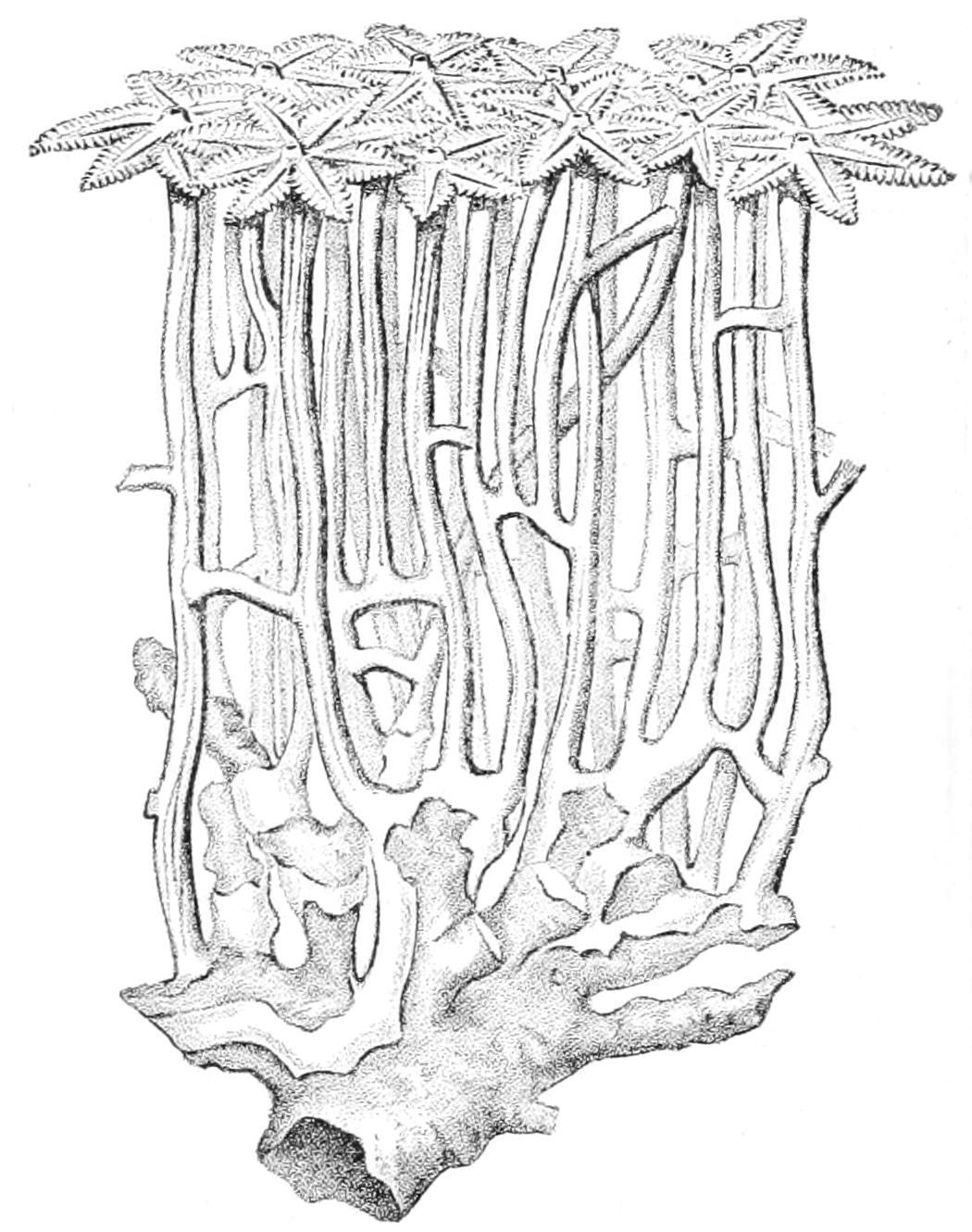 fig153