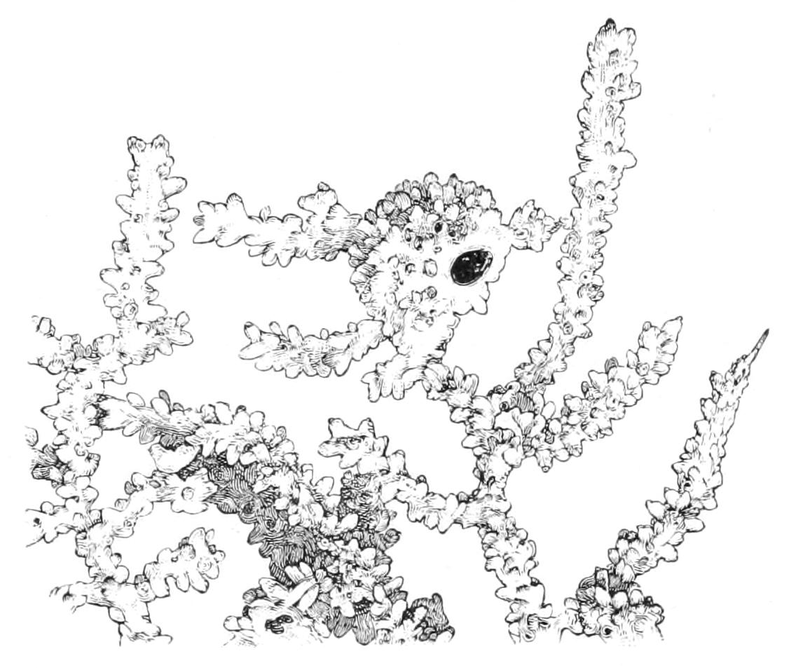 fig156
