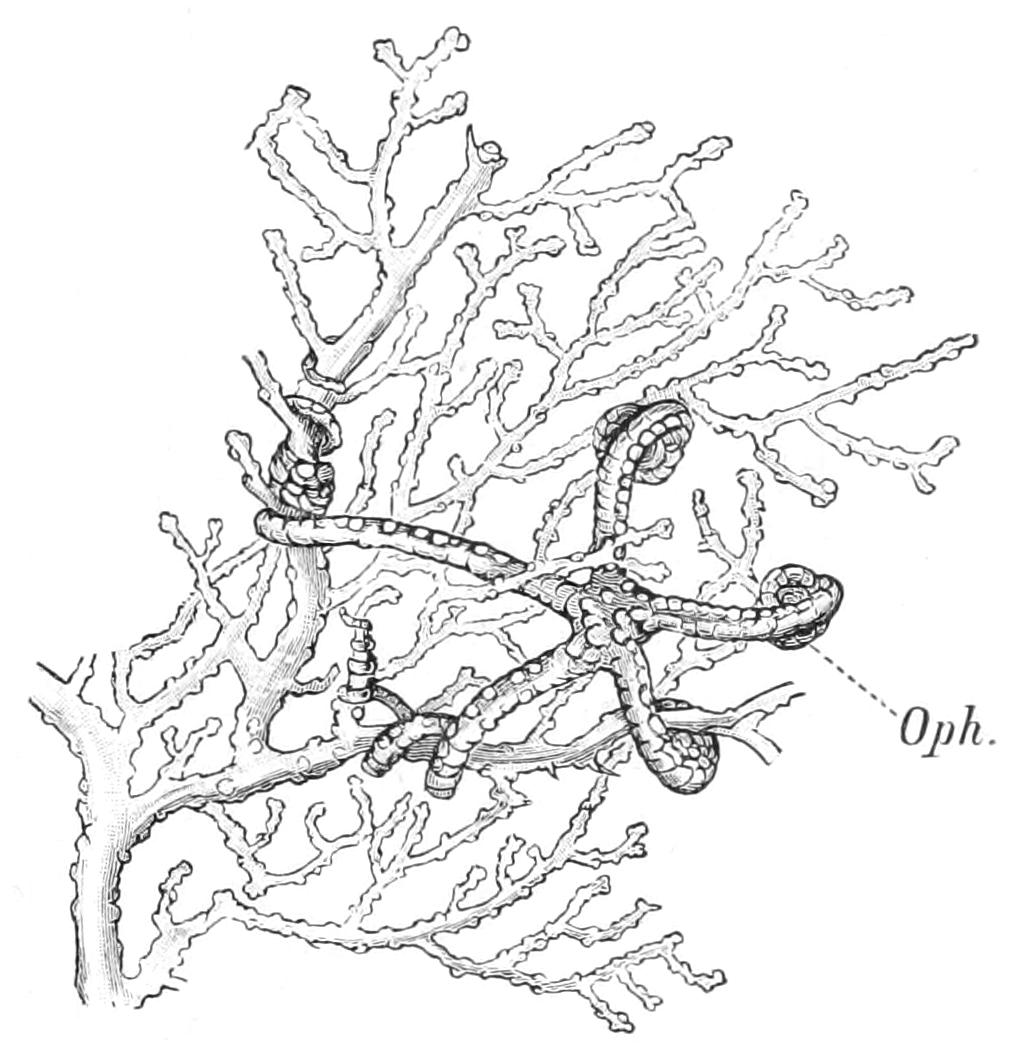 fig157