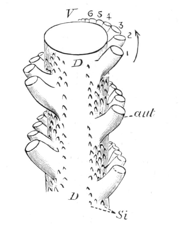 fig159