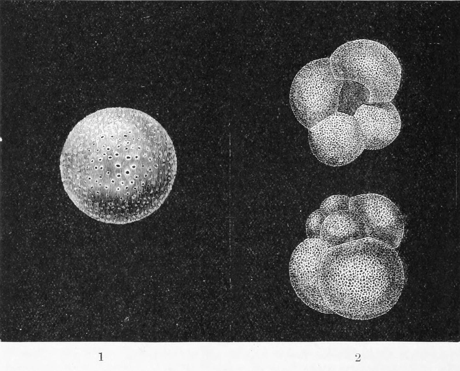 fig16