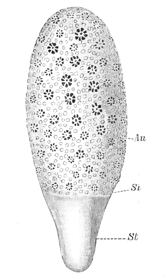fig161