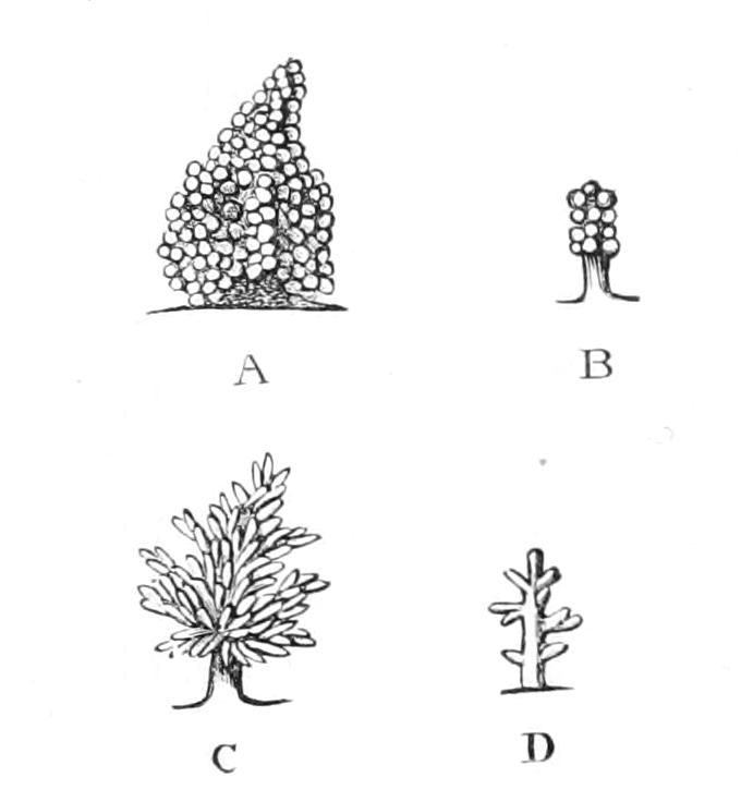 fig162