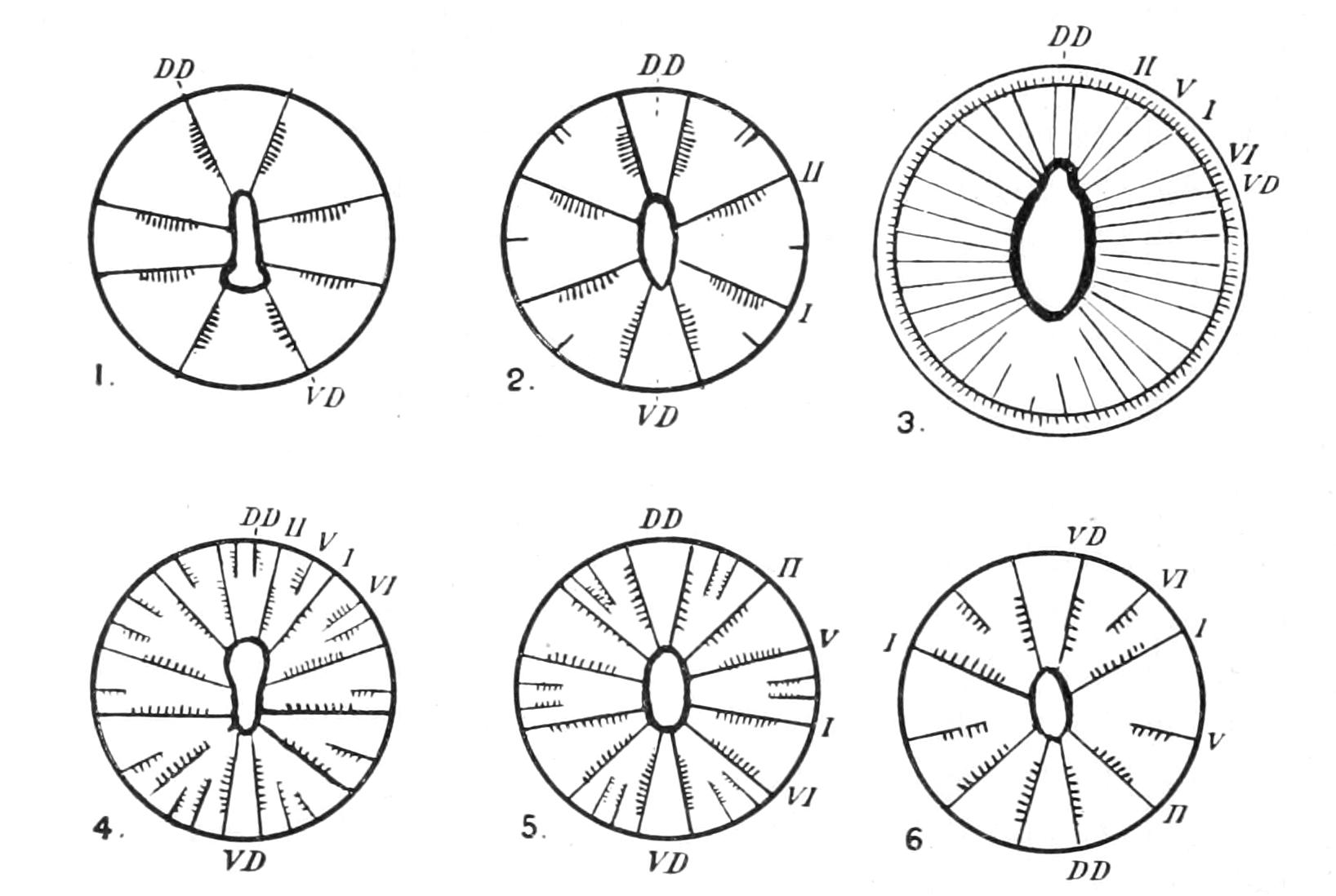 fig163