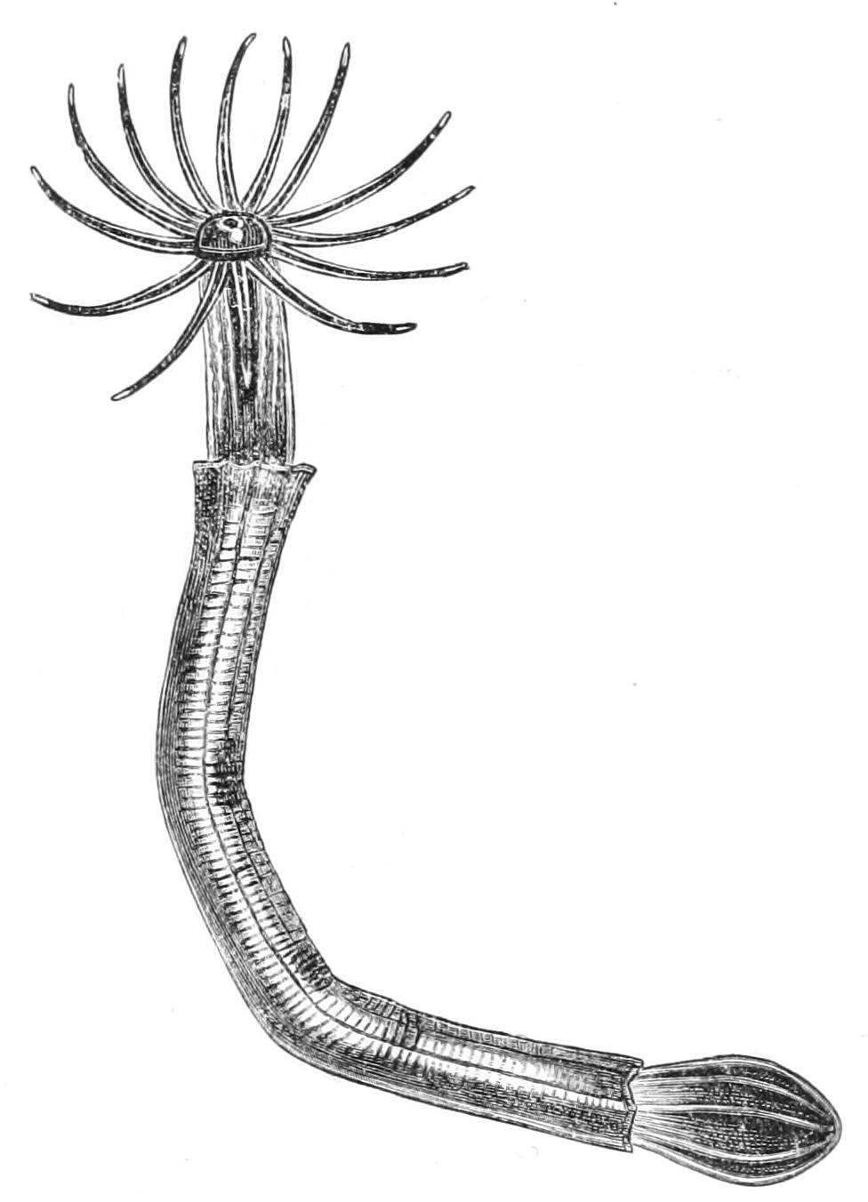 fig165