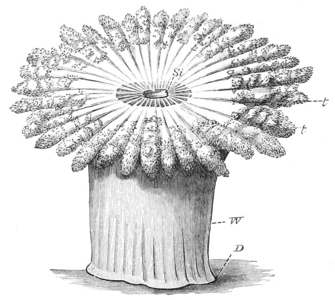 fig166