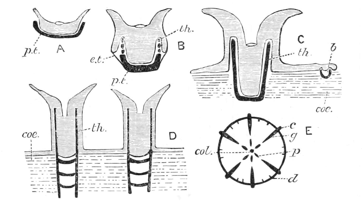 fig167