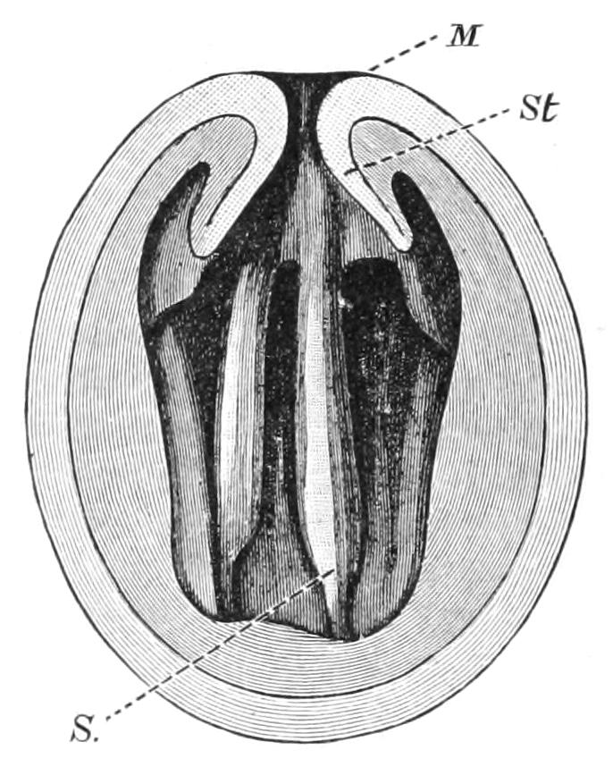 fig168