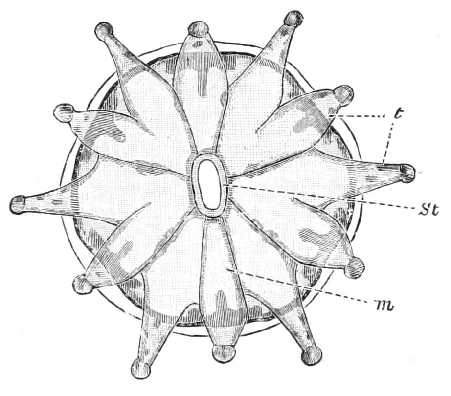 fig169