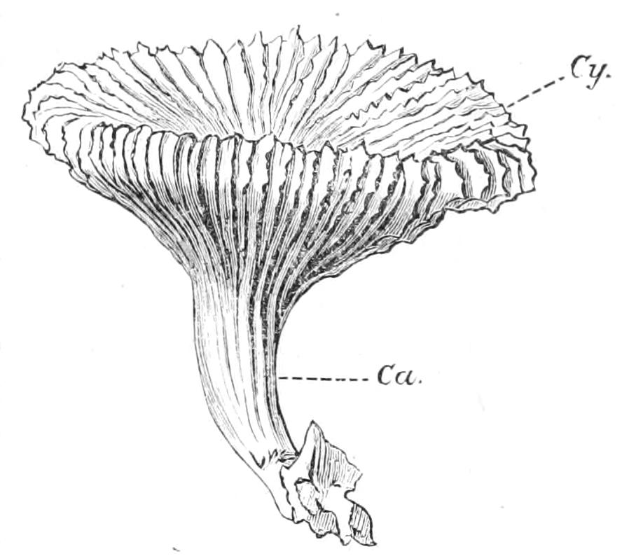 fig171