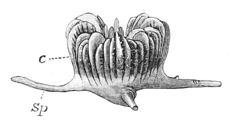fig174