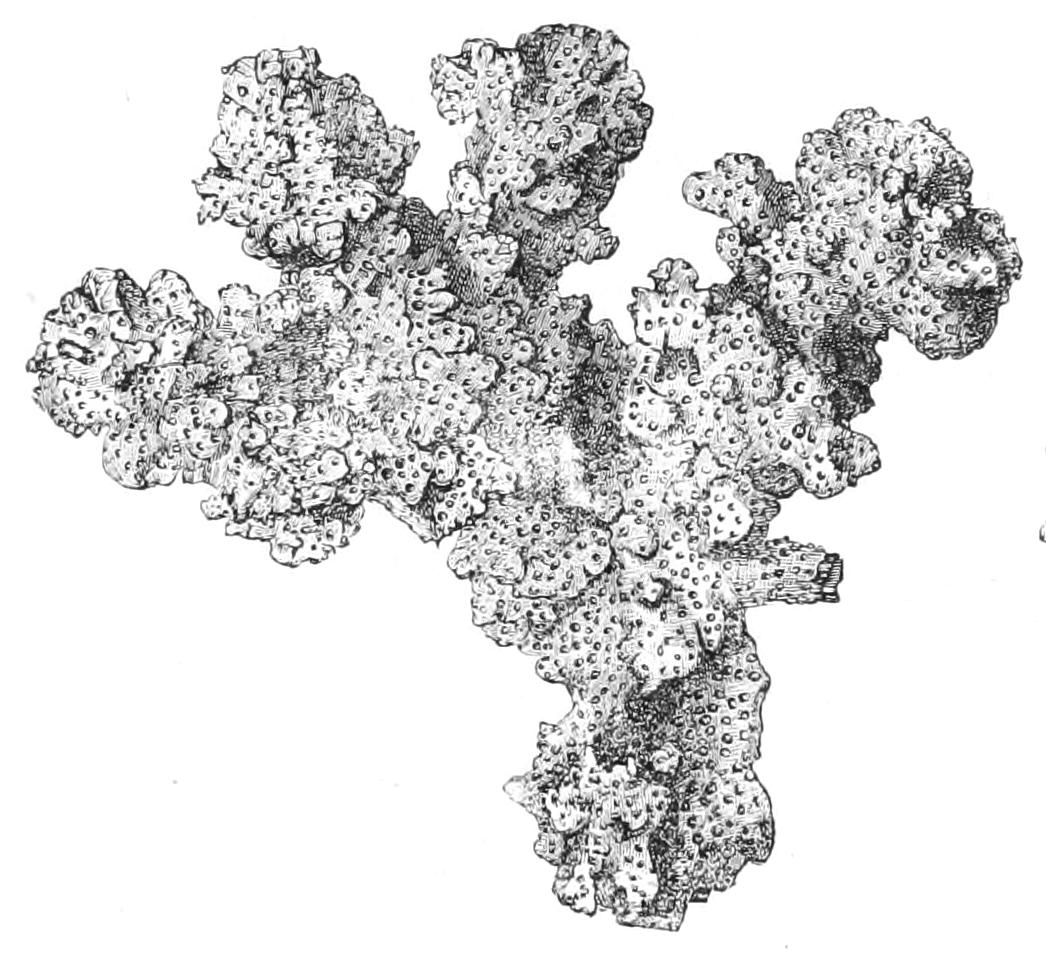 fig175