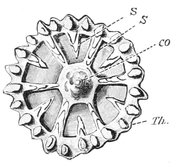 fig176