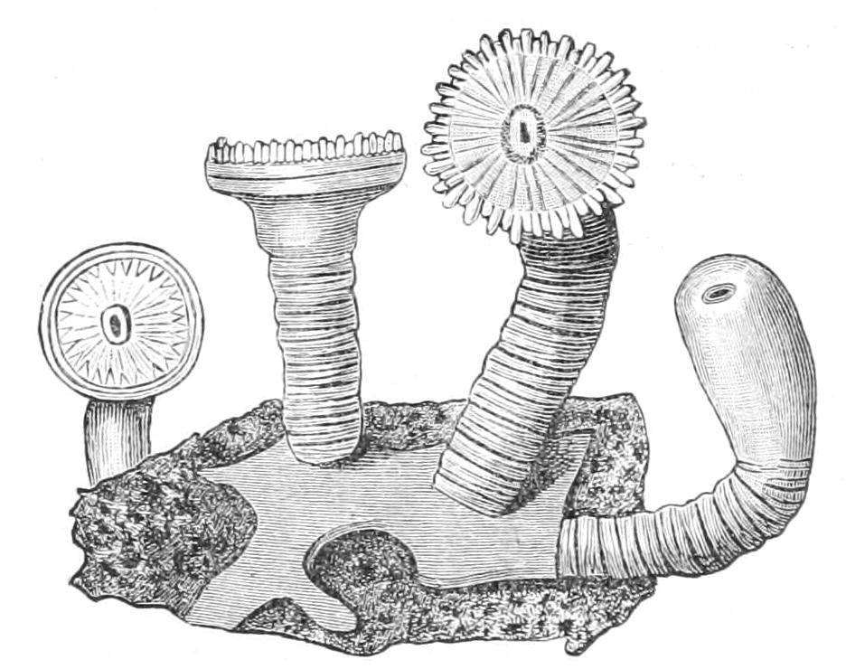 fig177