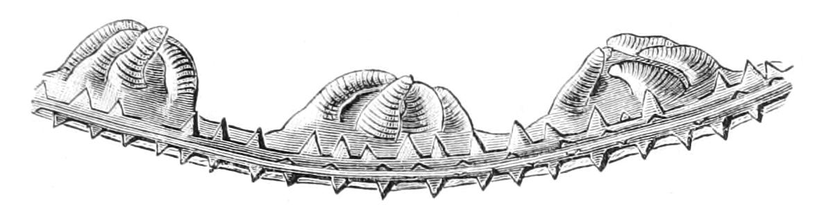 fig178