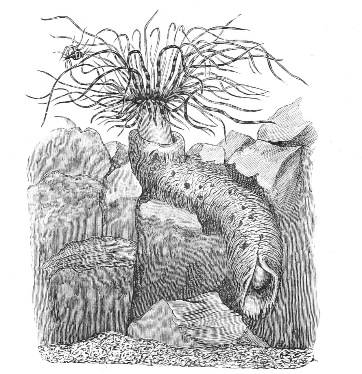 fig179