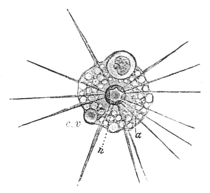 fig18