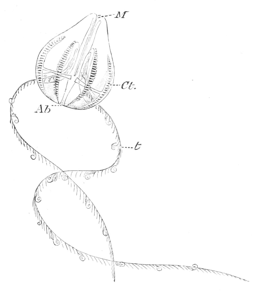 fig180