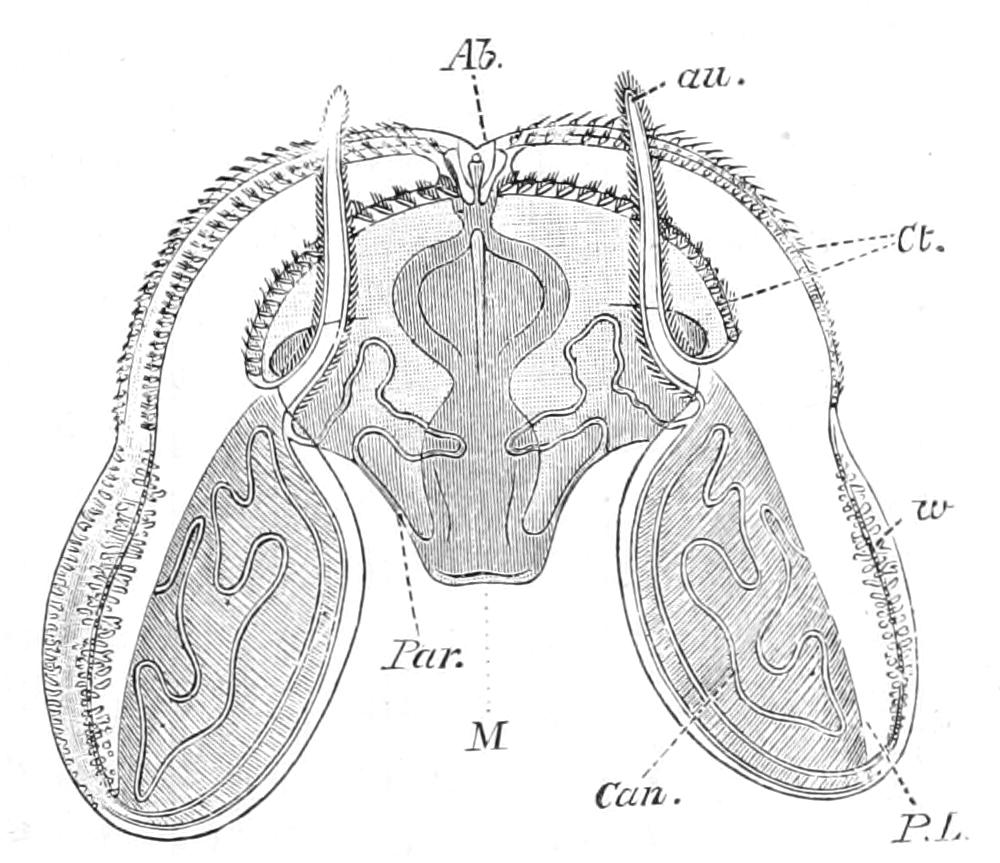 fig181
