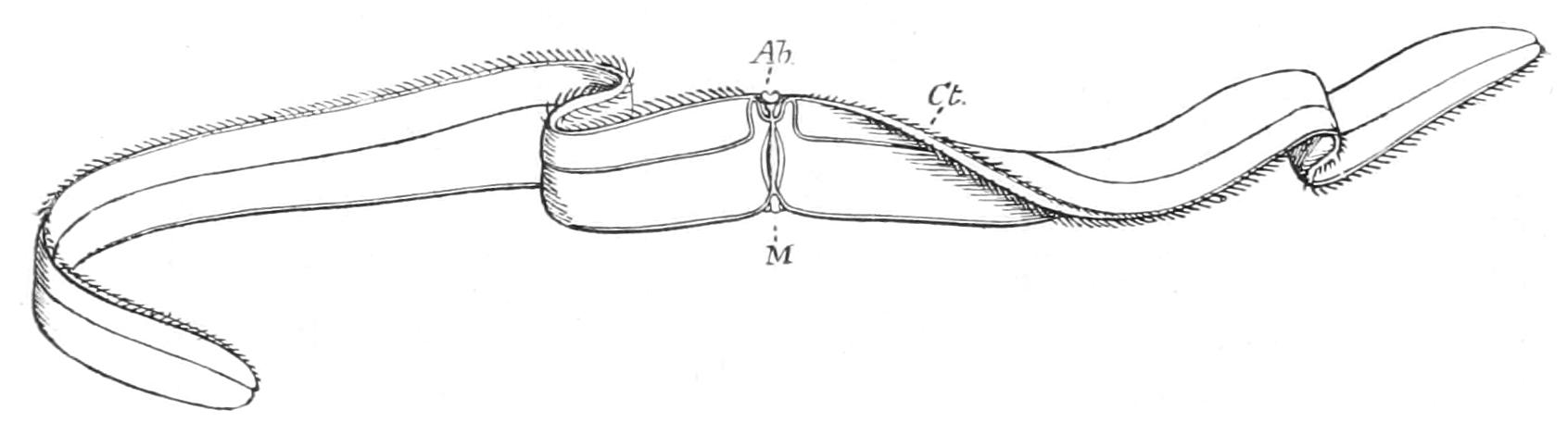 fig182