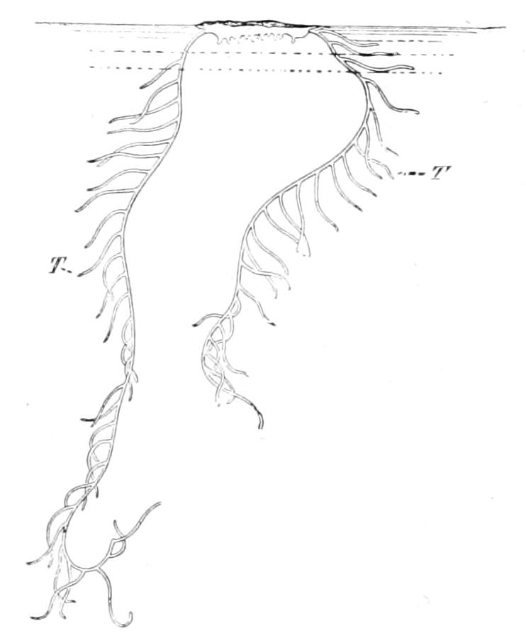 fig183