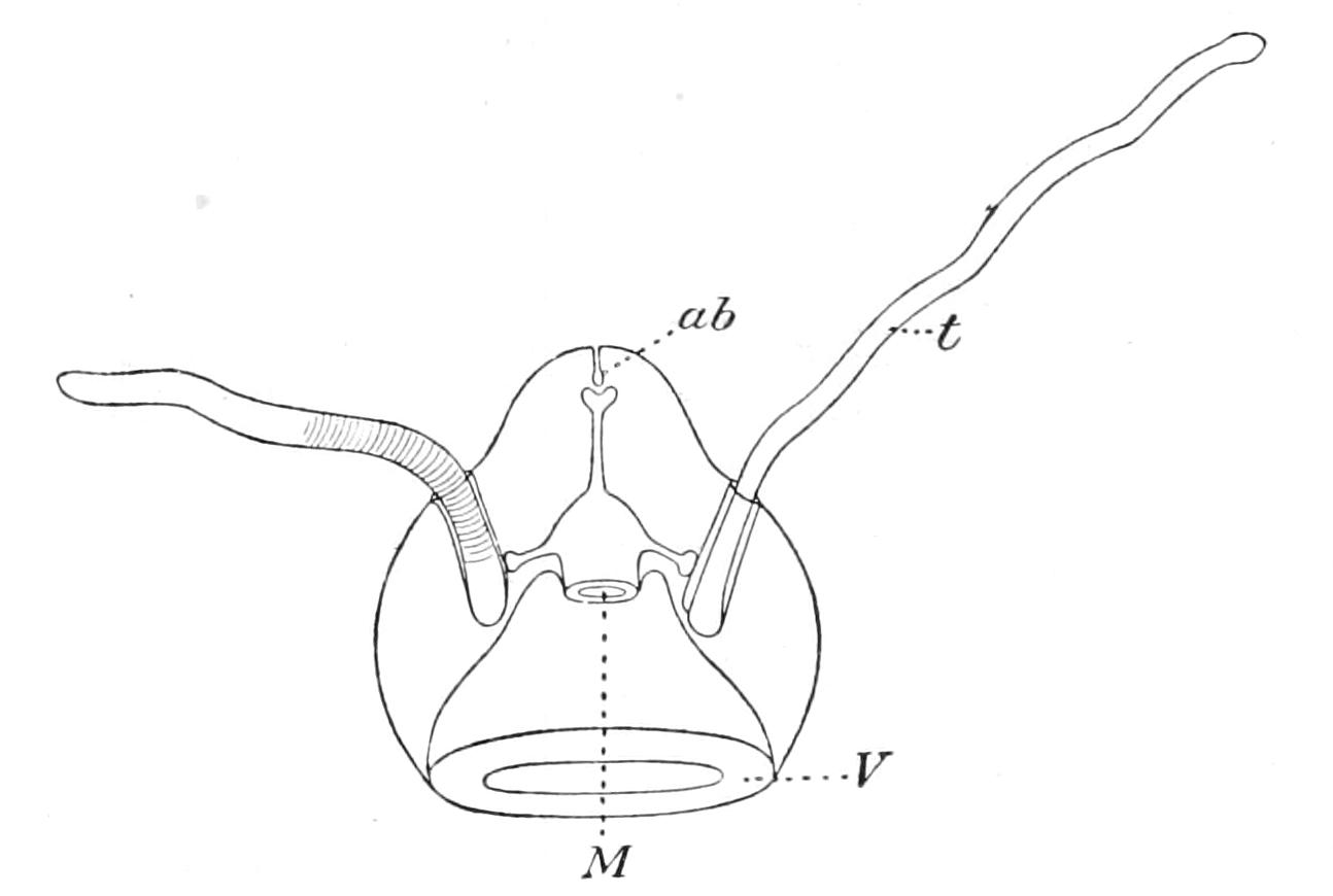 fig184