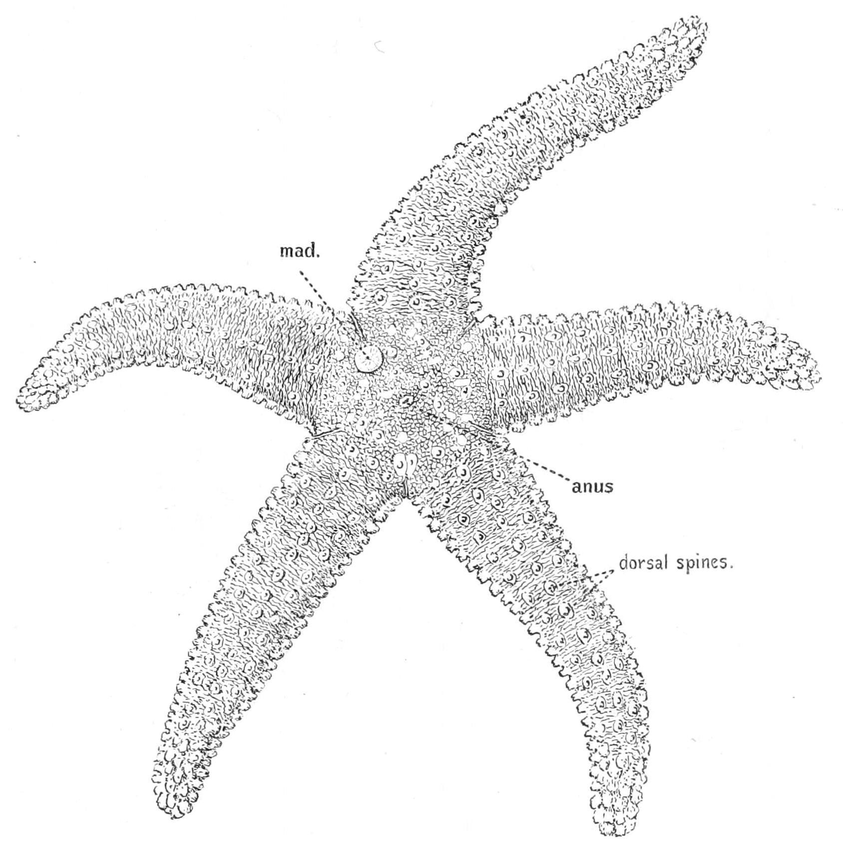 fig185